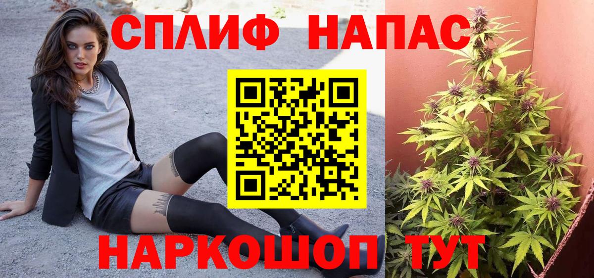 Канабис сатива Гуково